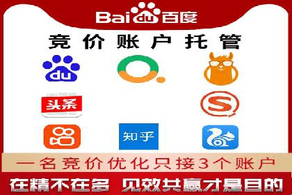成功案例：专业SEM托管服务助力企业抢占行业制高点